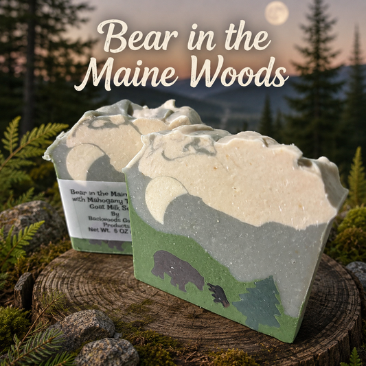 Bear In The Maine Woods