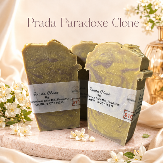 Paradoxe (Prada Clone)